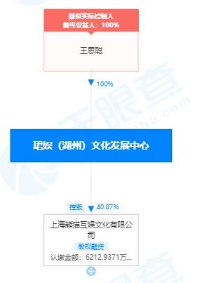 王思聰關(guān)聯(lián)公司成被執(zhí)行人，執(zhí)行標(biāo)的超28萬，涉經(jīng)營性互聯(lián)網(wǎng)文化信息服務(wù)