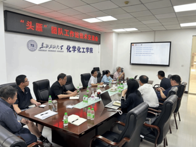 黑龍江省新產(chǎn)業(yè)投資集團(tuán)龍江化工公司蒞臨我院開展技術(shù)交流
